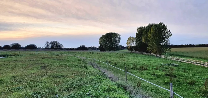 Installations-Les prés au bord de la carrière des Écuries de Jo'ïa