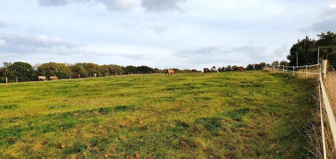 Installations-Les prés d'été du troupeau des garçons des Écuries de Jo'ïa