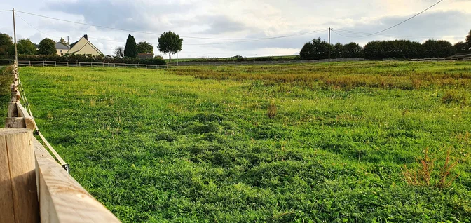 Installations-Les prairies vallonnées des Écuries de Jo'ïa