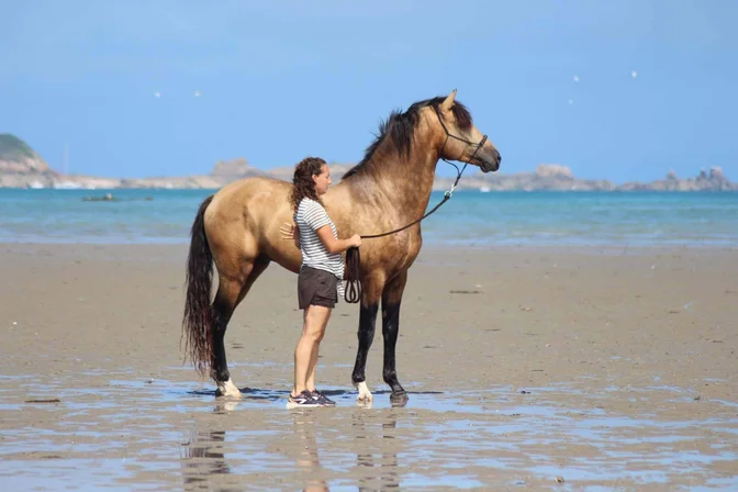 Les Écuries de Jo'ïa en sortie à la plage