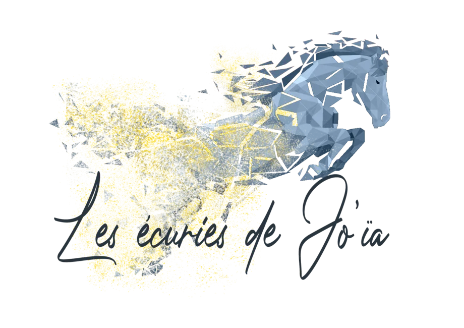 Logo-Accueil - Les Écuries de Jo'ïa