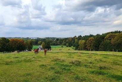 Installations-Les prairies des Écuries de Jo'ïa